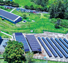 Parque solar del TEC impulsa la sostenibilidad, el ahorro y la formación académica